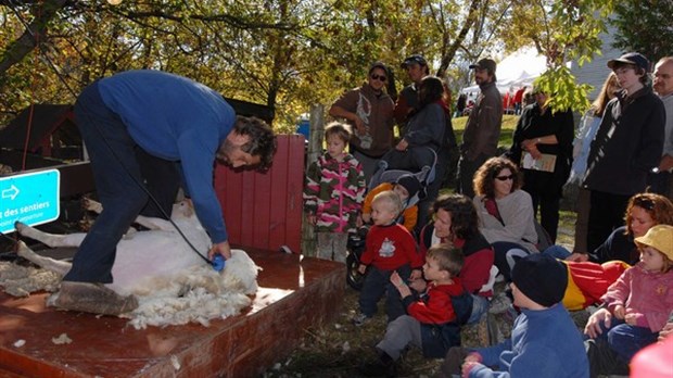 Un beau succès pour la 7e édition du festival de la laine et de l’agneau