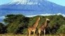 Soirée d’information sur l’expédition au Kilimandjaro