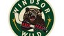 Une fin de match crève-cœur pour le Momo Sport-Wild de Windsor