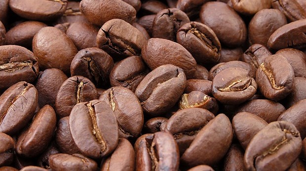 Barners Cafés débute sa production de café