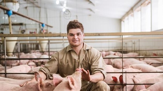 Les Éleveurs de porcs du Québec, des leaders sur la planète