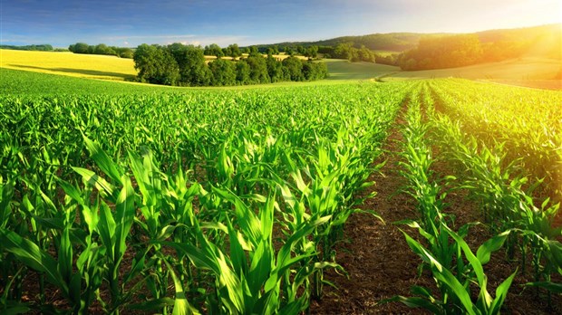 Rétribution des pratiques agroenvironnementales : une reconnaissance concrète très attendue