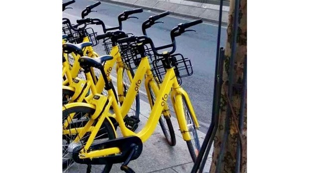 Les vélos jaunes feront leur apparition à Saint-François