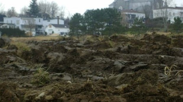 Le Club Optimiste de St-François-Xavier parraine le Jardin communautaire