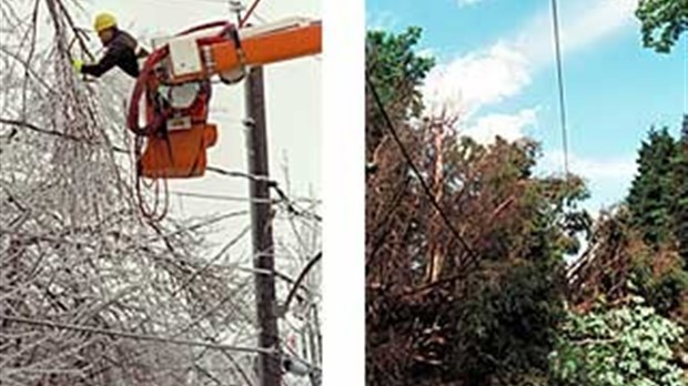 Hydro-Québec procède à l'élagage des arbres dans le Val Saint-François