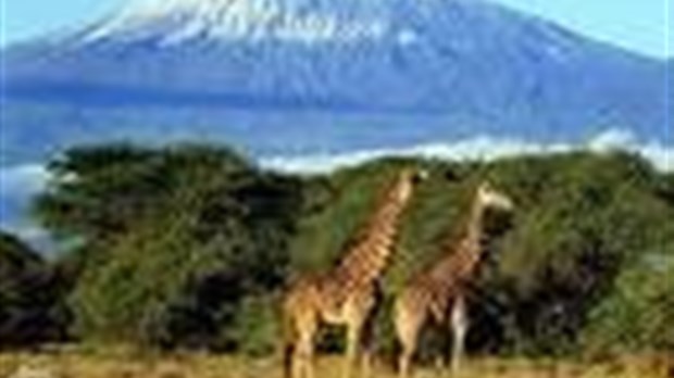 Soirée d’information sur l’expédition au Kilimandjaro