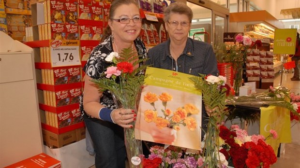 Campagne de l’œillet pour la Sclérose en plaques dans la région de Windsor