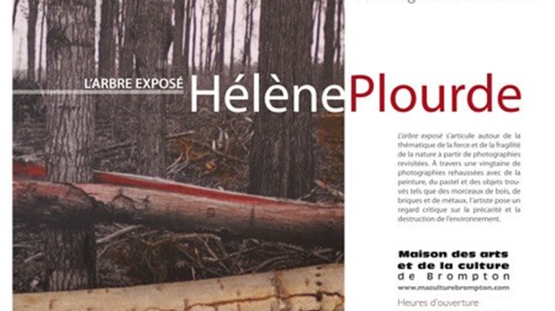 L’Arbre exposé, Œuvres d’Hélène Plourde