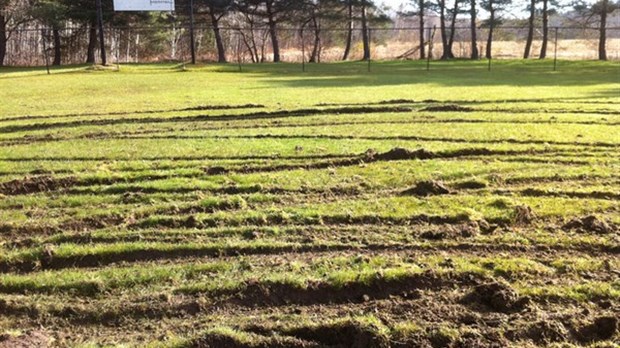 Le terrain de balle de St-François vandalisé