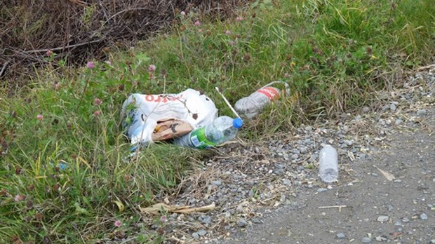 Les gens invités à ne pas jeter leurs sacs et contenants de nourriture dans la nature