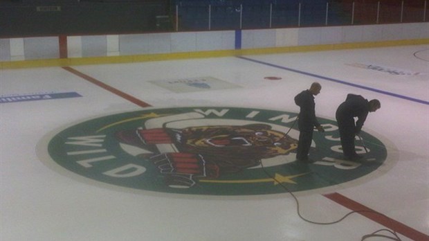 Le logo du Wild de Windsor sur la glace du centre sportif J. A. Lemay