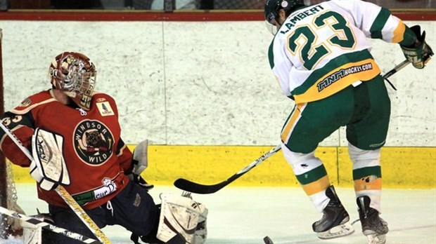 Le Wild de Windsor renoue avec la victoire contre Rivière du Loup