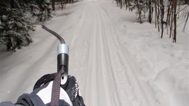 Un réseau de 6 kilomètres est offert au Centre de ski de fond de Melbourne