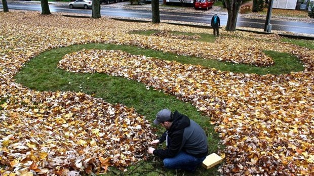 Le Land Art à Richmond : ou comment transformer la nature en oeuvre d'art temporaire