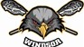 Les Aigles : un 3e match de suite à Windsor