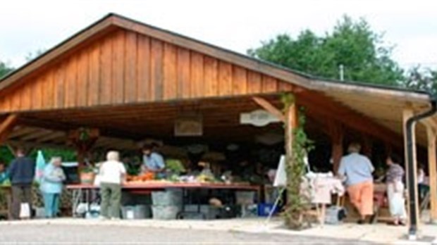 Journée vendanges au Marché Champêtre de Melbourne