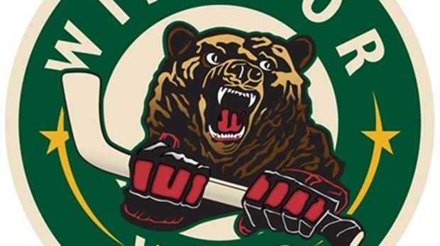 Le Momo Sports/Wild de Windsor se paie Waterloo