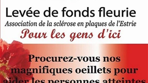 Des oeillets pour la Fête des Mères et pour les gens d’ici!