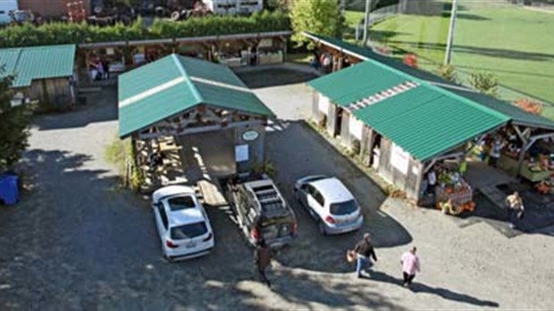 Venez découvrir les rouges locaux au Marché Locavore de Racine
