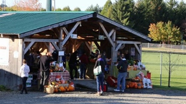 C'est l'arrivée du Marché Locavore d'automne!
