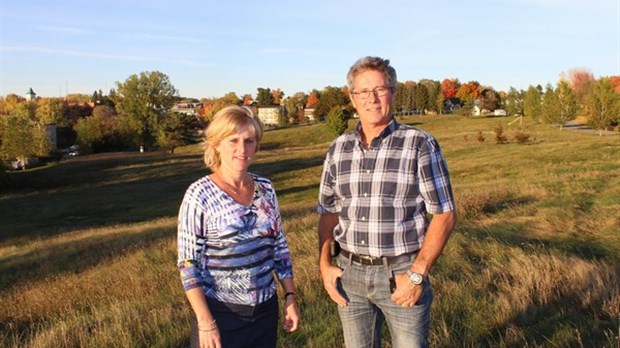 Projet domiciliaire à Windsor. Trois phases distinctes qui se succèderont