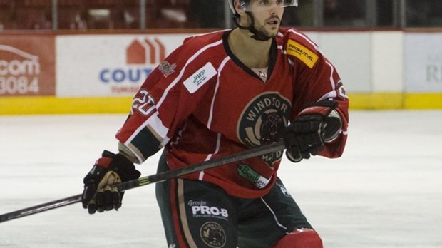 Le Momo Sports-Wild de Windsor  déjà en mode série