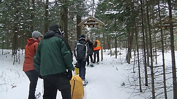 Randonnée nocturne en raquettes et ski de fond