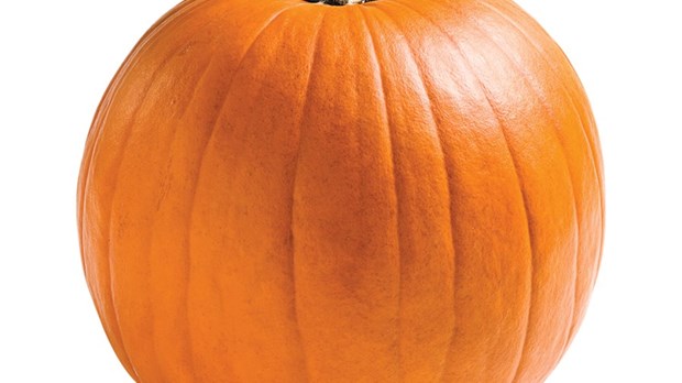 La Poudrière complètement citrouille!