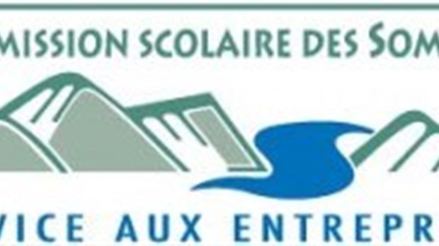 États financiers 2014-2015 pour la Commission scolaire des Sommets