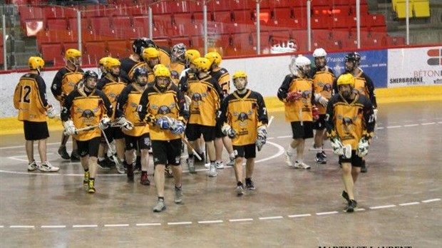 Les Aigles seniors accède à la finale 2015 face à Laval