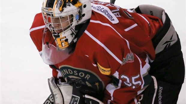 Le Momo Sports-Wild de Windsor s’incline à Lac-Mégantic