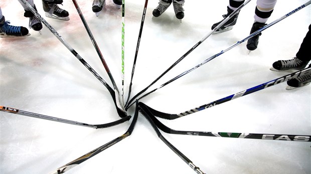Résultats au hockey à Windsor