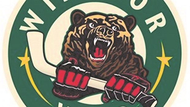 Windsor vibre à domicile au rythme du Wild