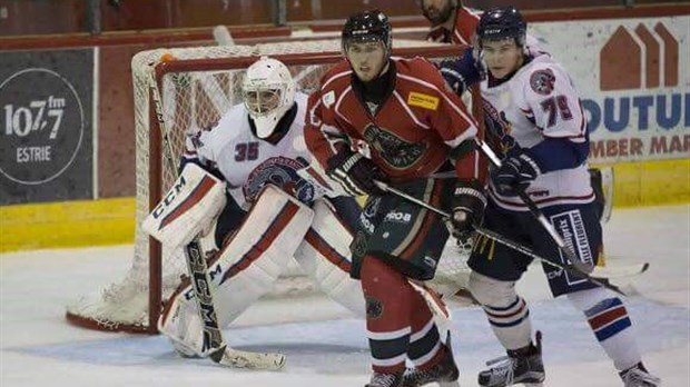 Desjardins-Wild de Windsor du caractère malgré la défaite