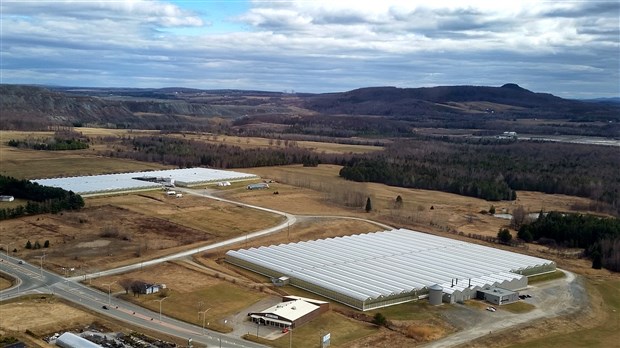 Savoura lance un message clair en faveur de l’environnement