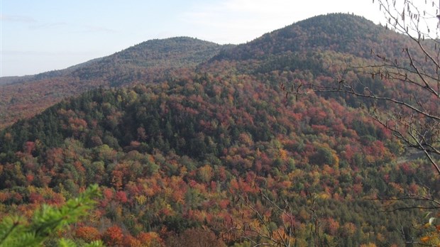 Déjeuner aux crêpes dans les monts Stoke