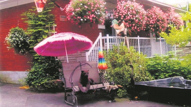 Une panthère de jardin dérobée à Windsor