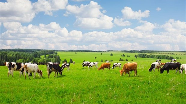 Récolte du syndicalisme agricole et forestier de l’Estrie