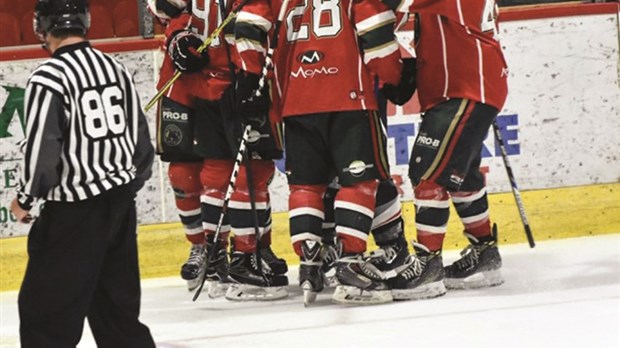 Une victoire et des toutous pour le Wild de Windsor