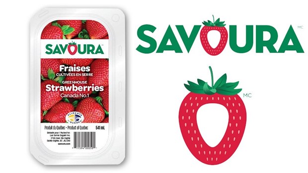 Savoura offre des fraises du Québec cultivées à Danville