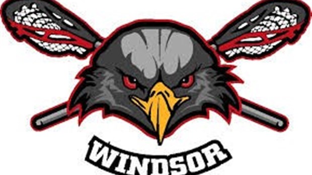 Deux victoires pour les Aigles séniors