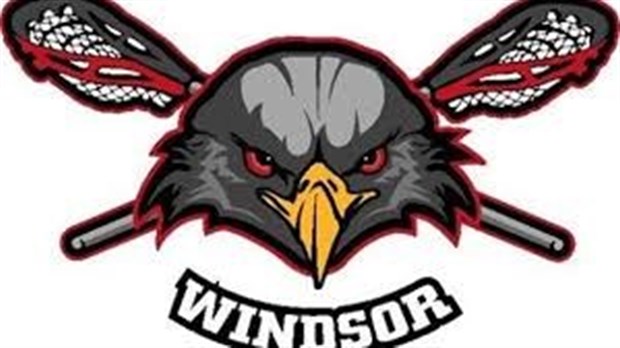 Les Aigles de Windsor  s’assurent du premier rang