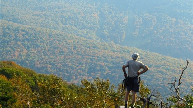 Cet été, tous en forêt avec les Sentiers de l’Estrie