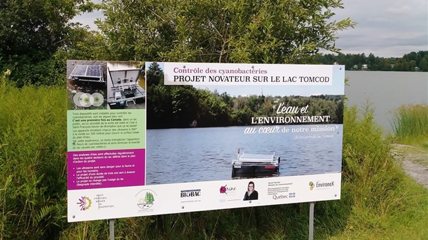 Projet pilote sur le lac Tomcod