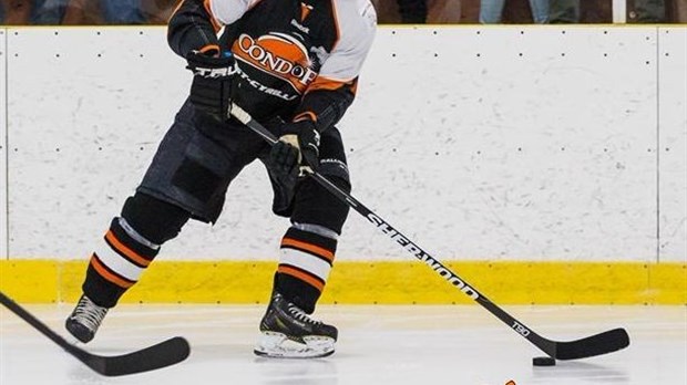 Drolet bat le Desjardins-Wild presqu’à lui seul