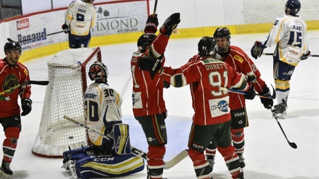 Tournoi pee-wee/bantam et Desjardins-Wild de Windsor