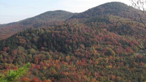 Randonnée et conférences sur l’aménagement de sentiers rustiques au massif des Monts Stoke