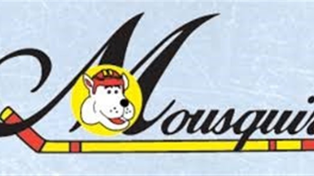 Le Promutuel compte encore sur trois équipes au tournoi Mousquiri