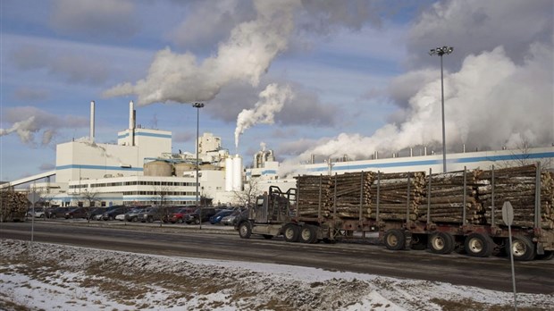 Domtar : un projet pour moderniser la cour à bois 