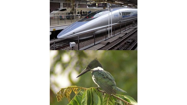 Nature inspirante et Techno inspirée au Musée de l’ingéniosité